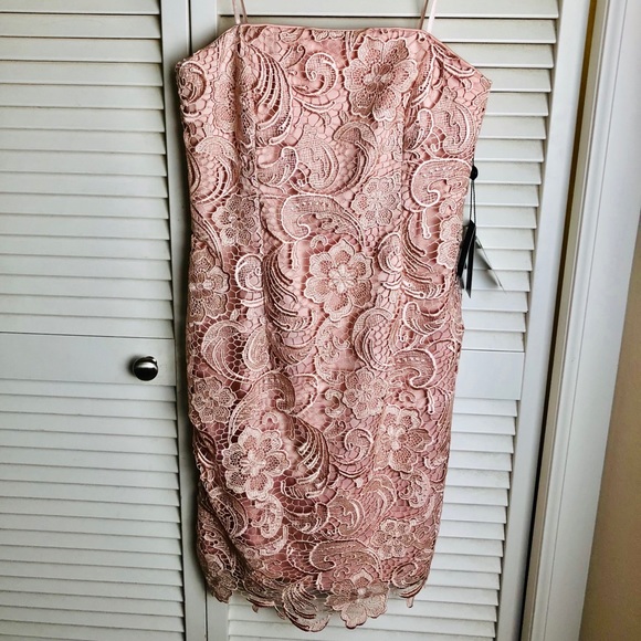 Adrianna Papell Dresses & Skirts - NWT ADRIANNA PAPEL PINK LACE STRAPLESS DRESS
